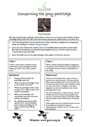 Grey partridge worksheet