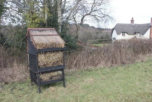 Scarlet Beetle Cottage