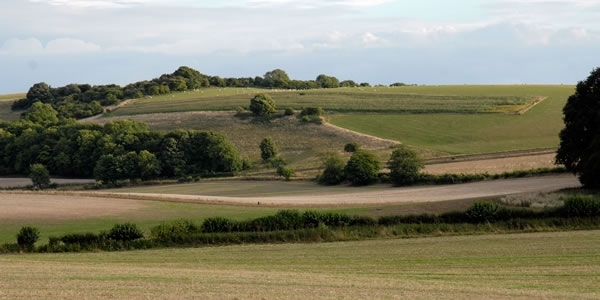 Landowners Landowners