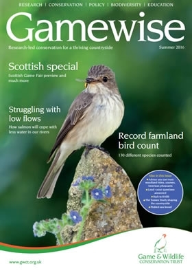 Gamewise Summer 2016