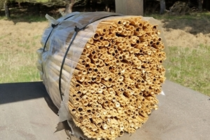 Bee hotel