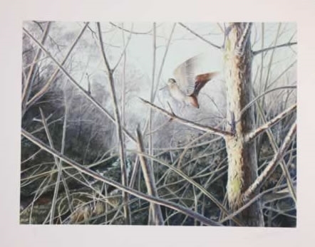 Woodcock Print Woodcock Print