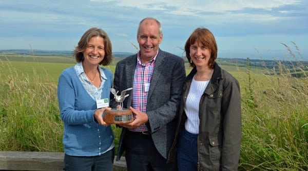 Silver Lapwing Award