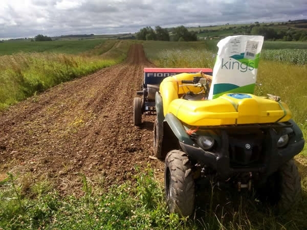 Sowing wild bird cover for feeding over the winter period