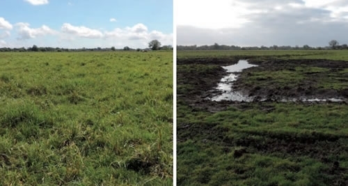 New Ditch And Scrape