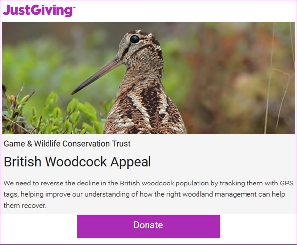 British Woodcock Banner British Woodcock Banner