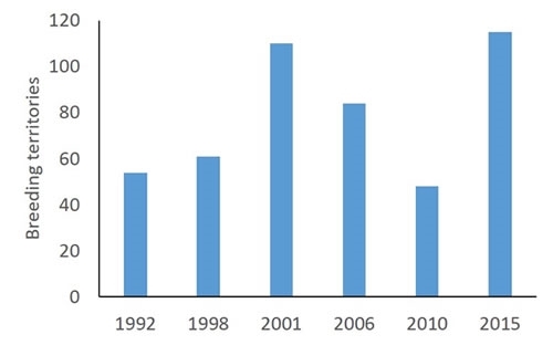 Robin Territory Numbers At Loddington