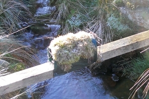 Camouflaged rail trap