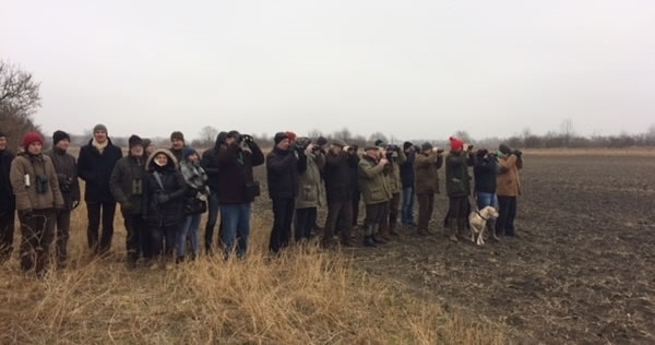 Austria ID Day Austria ID Day