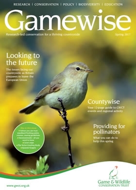 Gamewise Spring 2017