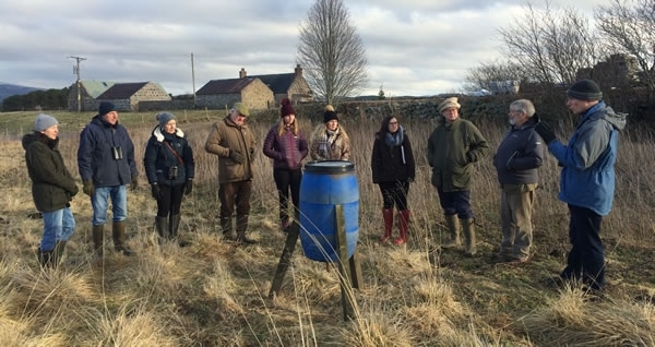 Big Farmland Bird ID Day GWSDF Auchnerran Big Farmland Bird ID Day GWSDF Auchnerran
