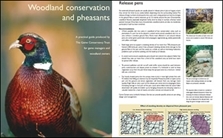 Woodland Conservation And Pheasants - Free Guide