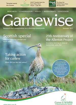 Gamewise Cover Summer 17tn