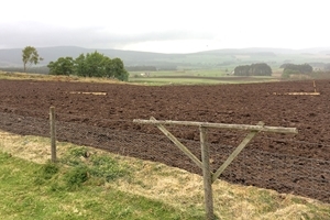 Game crops management