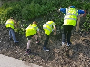Balgonie flower planting May 2017