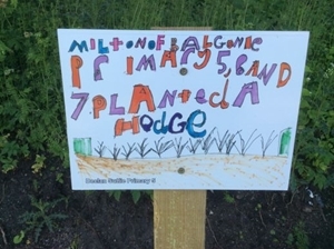Balgonie hedge sign