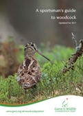 Sportsmans Guide Woodcock