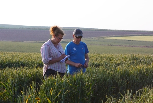 Julie and Hugh Passmore Julie and Hugh Passmore