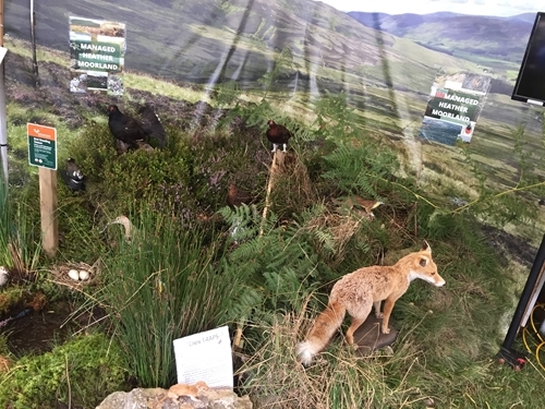 Photo 03-08-2017, 1 07 18 Pm Photo 03-08-2017, 1 07 18 Pm