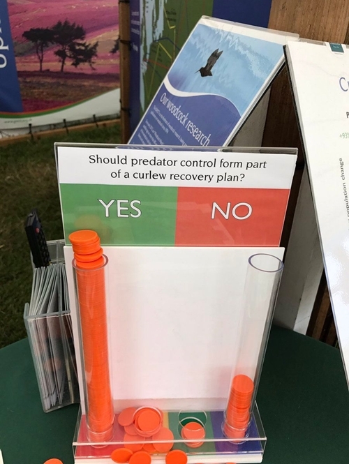 Curlew Recovery Plan Curlew Recovery Plan