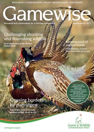 Gamewise Cover Aut 17300