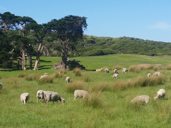 20171127_163411 20171127_163411