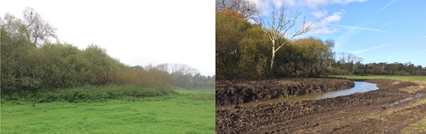 Before and after image of the oxbow lake created