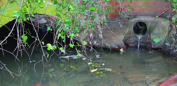 Septictanks Septictanks