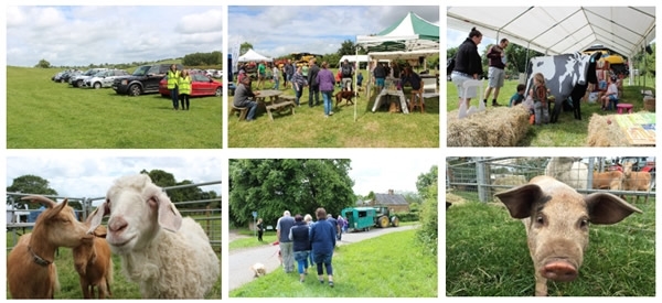 Opendaysunday Opendaysunday