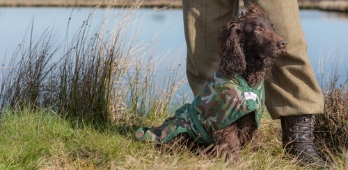 DOGROBES CAMO SHOOT IBI 2018 -2110