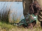 Gamekeeper's dogs work the camouflage look