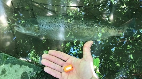 2e 960947-ebb 7-4c 95-8c 0e -a 234f 45c 7cfb 2e 960947-ebb 7-4c 95-8c 0e -a 234f 45c 7cfb