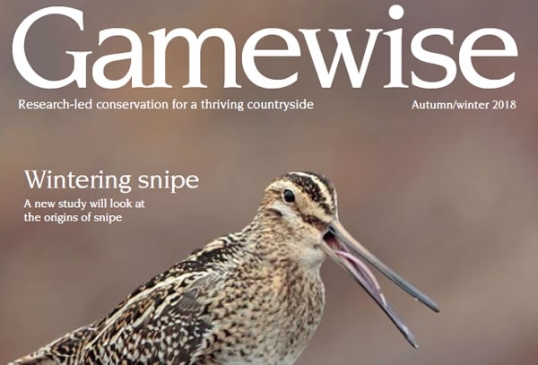 Untitled -1 Untitled -1