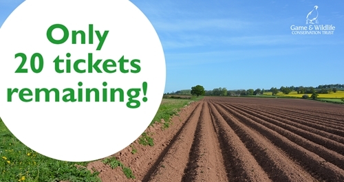 Only 20 Tickets Remaining