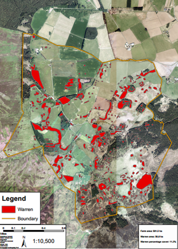 Rabbits at Auchnerran