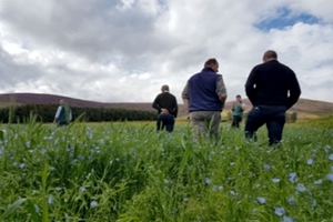 Walking through game crops