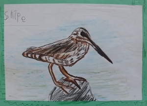 Primary 1 3 Winner Primary 1 3 Winner