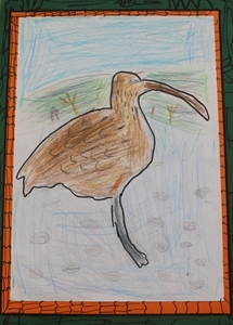 Primary 4 5 Commended Plus Primary 4 5 Commended Plus