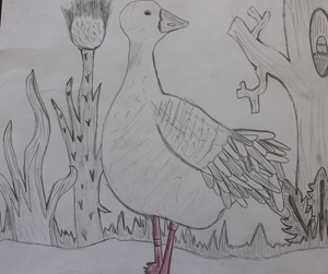 Secondary Commended Secondary Commended