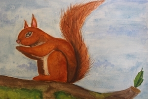 Secondary Commended Plus