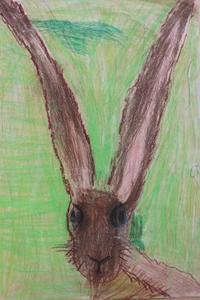 Primary 1 3 Runner Up Primary 1 3 Runner Up