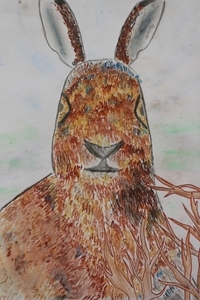 Primary 6 7 Commended Primary 6 7 Commended