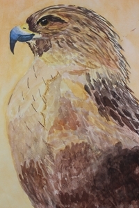 Secondary Runner Up Plus