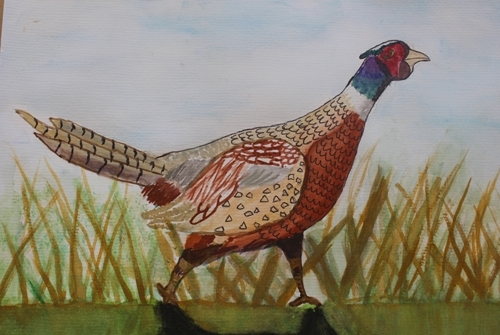 Overall Primary Winner -Prithvi Sudarshan (Longforgan Primary) Overall Primary Winner -Prithvi Sudarshan (Longforgan Primary)