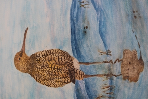 Overall Secondary Winner -Luisadh Leck (Pitlochry High) Overall Secondary Winner -Luisadh Leck (Pitlochry High)