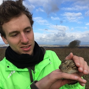 Manuel Püttmanns, PhD candidate at the University of Göttingen, received funding from the Dick Potts Legacy Fund for his work with skylark chicks