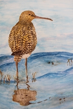 Overall Secondary Winner Overall Secondary Winner