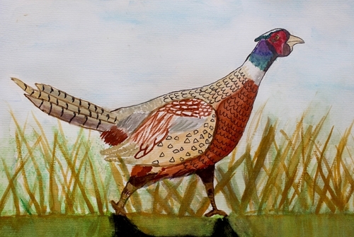 Overall Primary Winner Overall Primary Winner