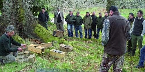 617cce 9e -d 713-4172-ae 86-b 838ec 6d 167b