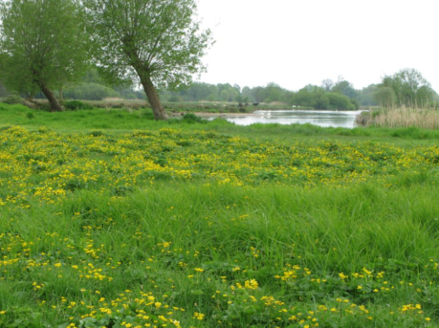 GWCT LIFE Waders For Real _Background Image